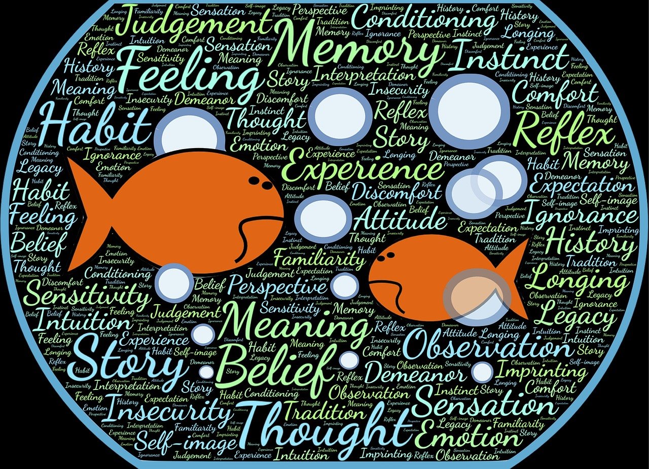 最新超载整治措施,重塑交通安全与环境保护的平衡之道