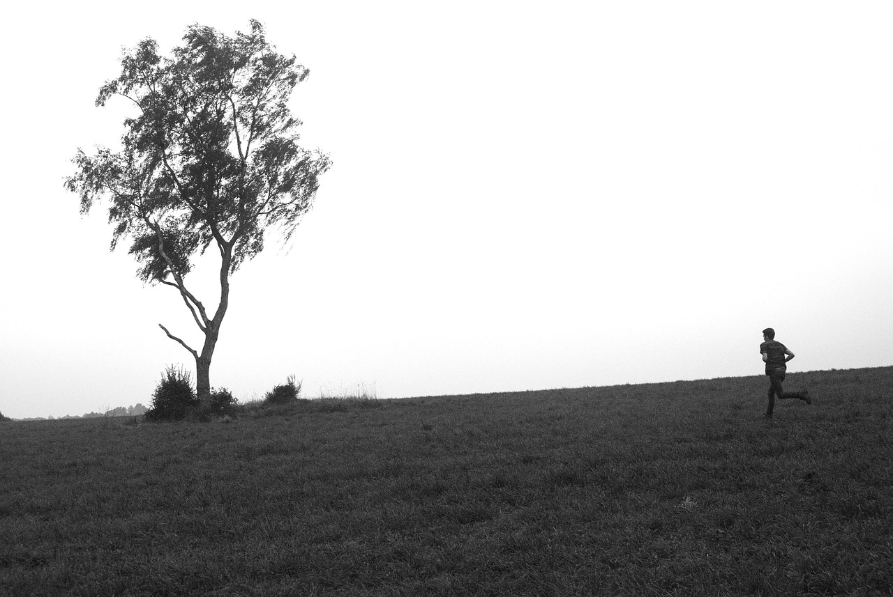 秋霞最新韩国，探索美丽风景与文化魅力