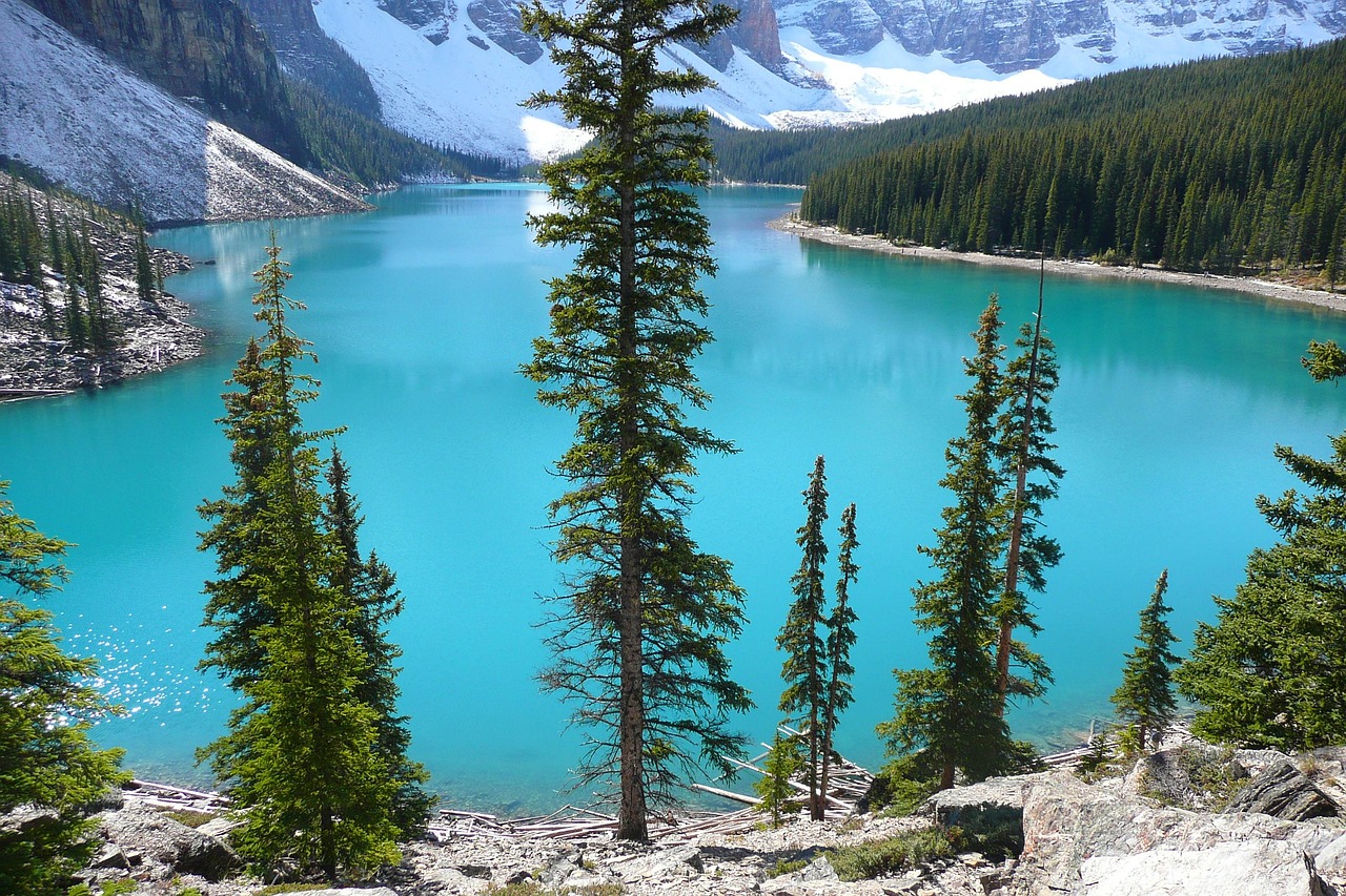 宝山湖资讯,自然美景与人文魅力的交汇探索