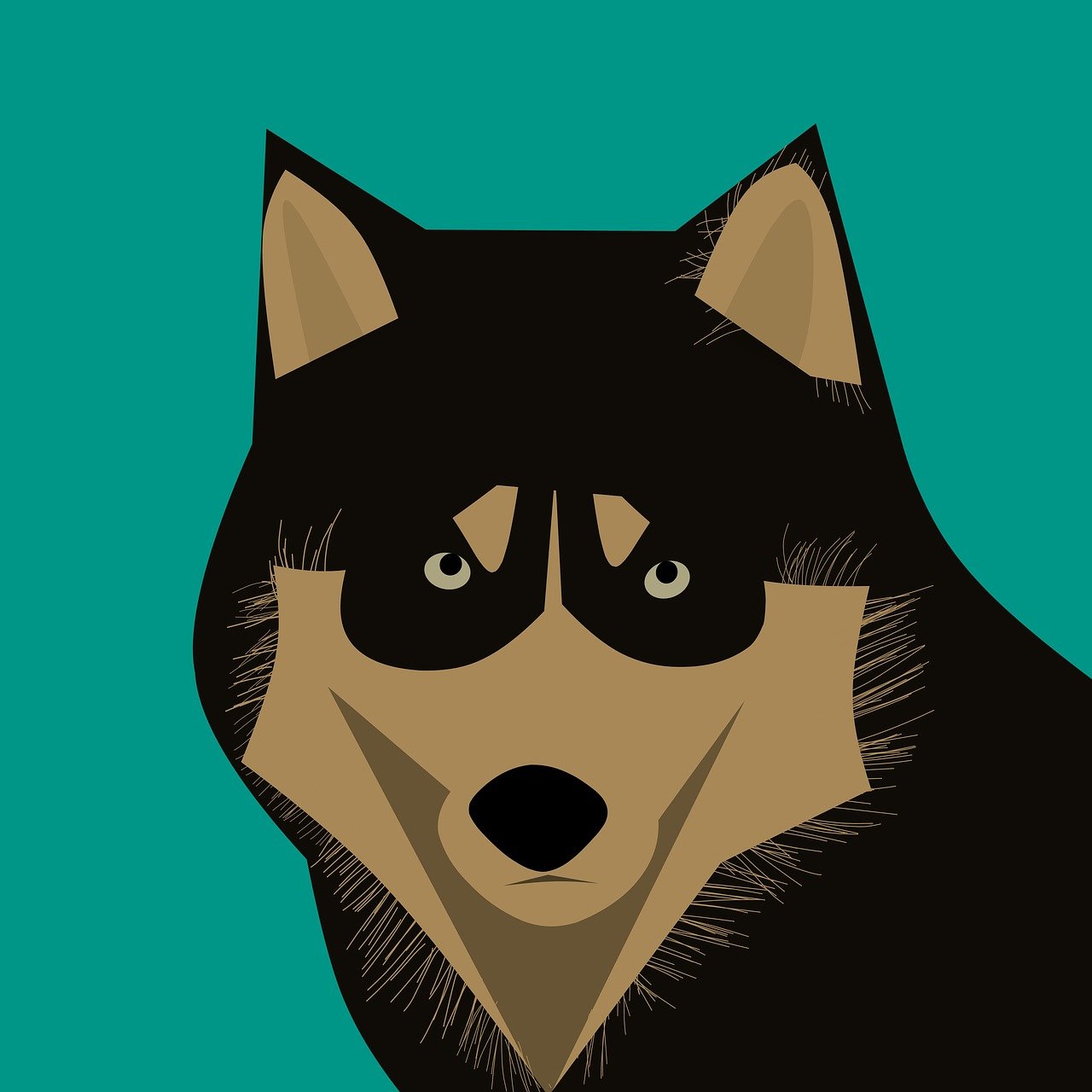 动漫人物眼睛画法指南,如何绘制迷人的动漫人物眼睛