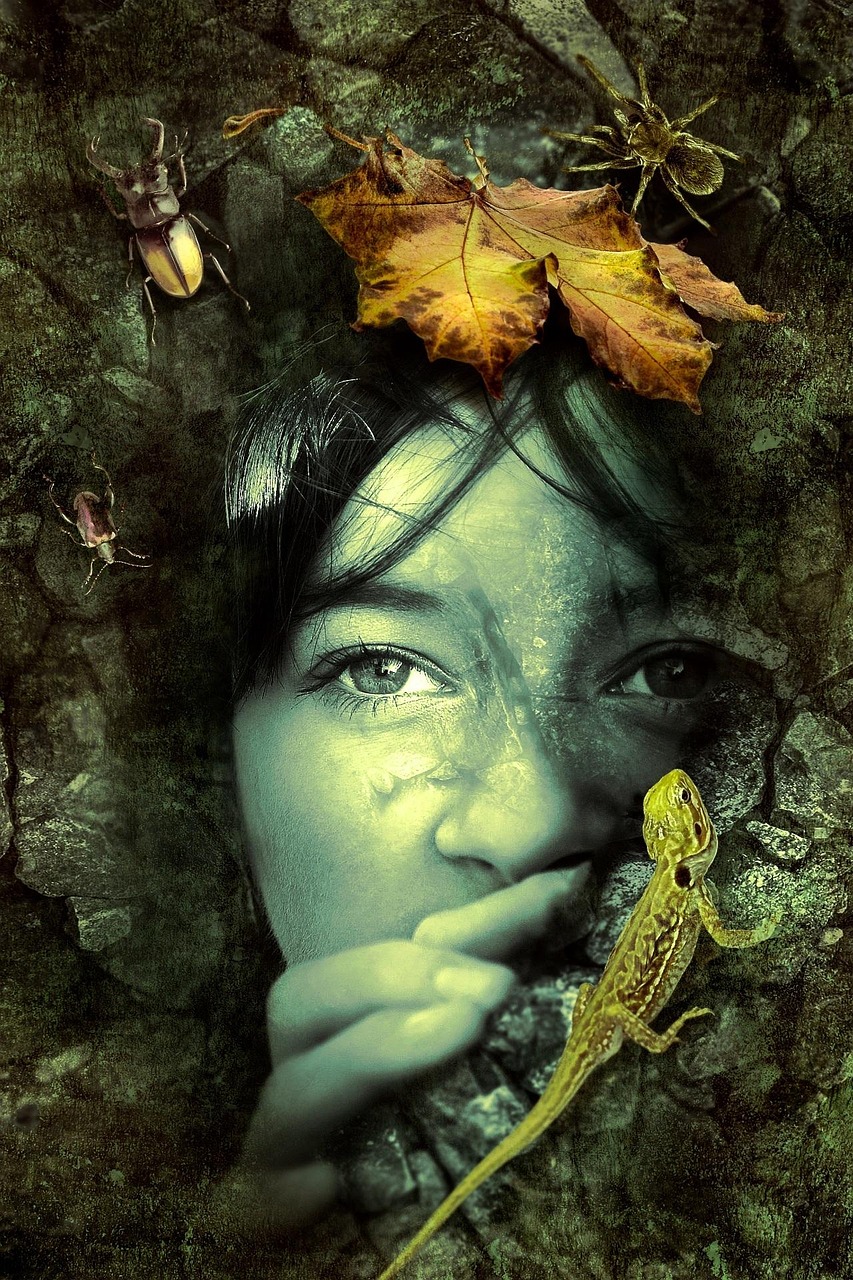 最新魔幻电影,视觉盛宴与奇幻世界的探索之旅