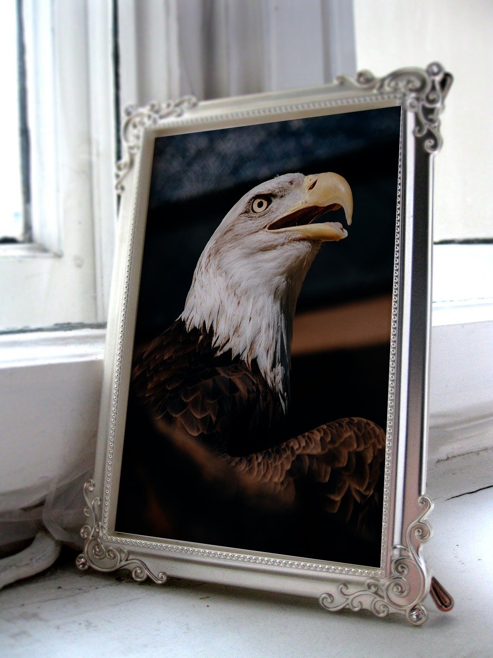 滁州碧桂园欧洲城最新房价走势与动态分析