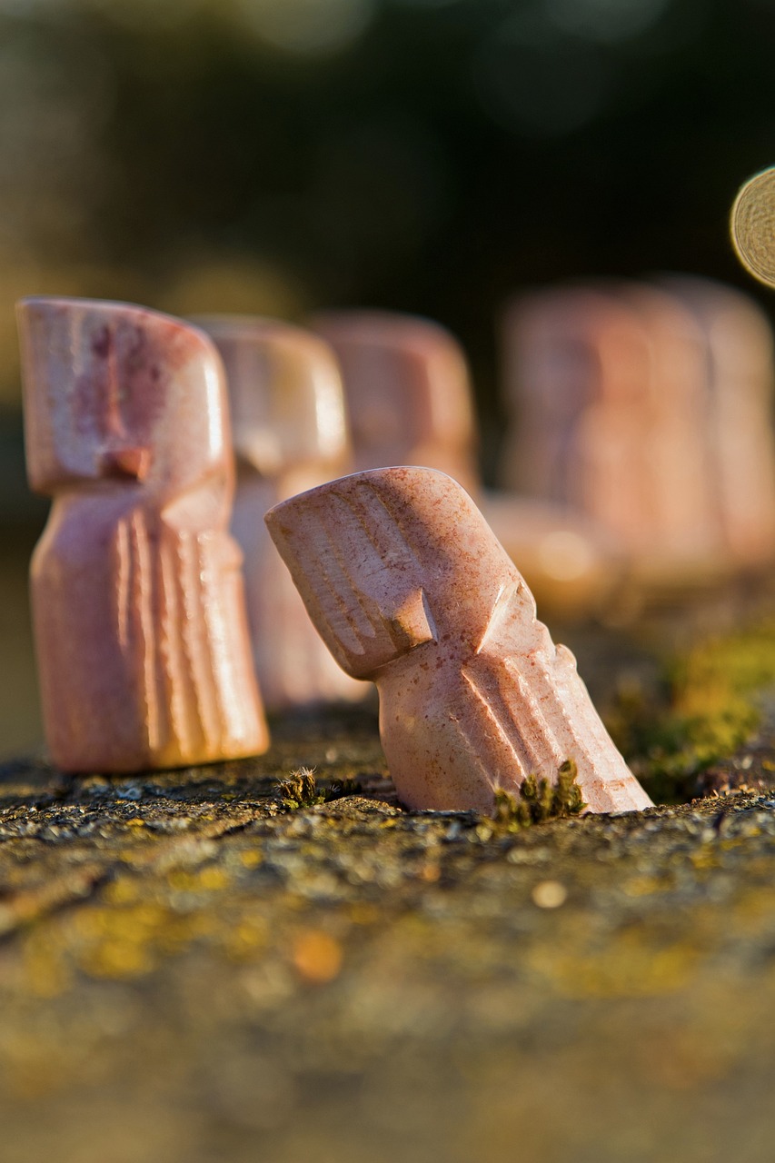 非洲猪瘟最新动态,挑战与应对策略