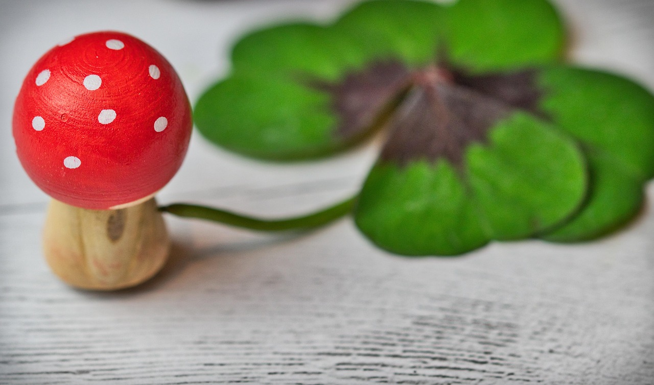 余文乐周冬雨动态更新,跨界合作的粉丝期待与魅力展现