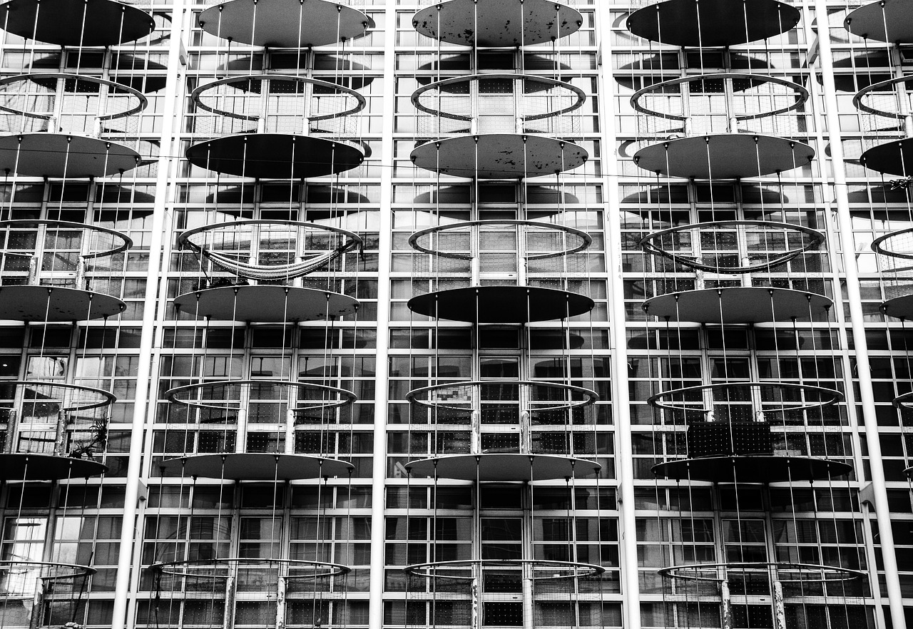 胡桃木价格走势分析,市场趋势、影响因素与未来展望