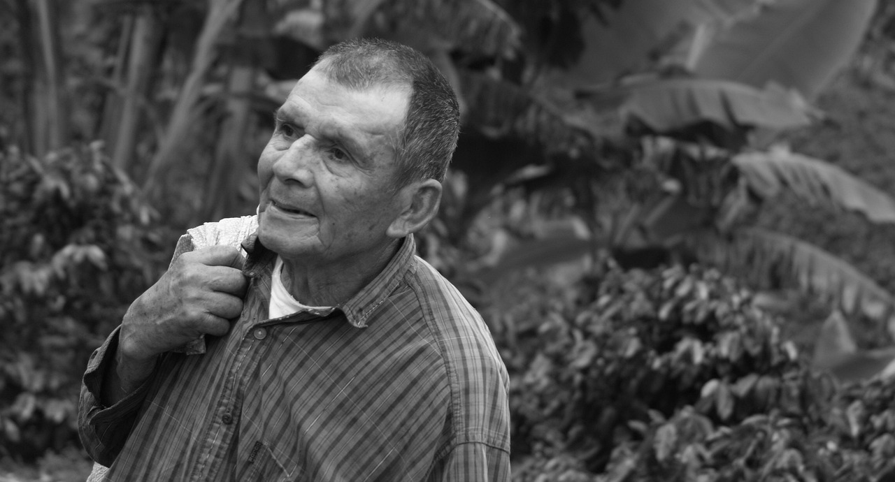 中国男色情演员,行业背后的故事与探讨