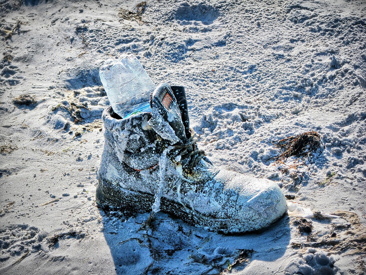 专门添下面的电影,独特的文化现象探索