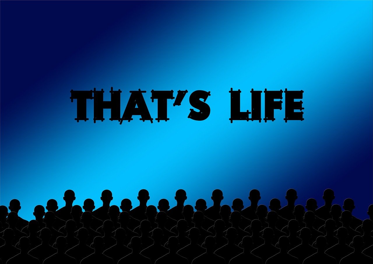 最新影院电影推荐,带你走进电影的魅力世界