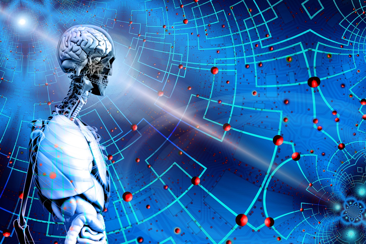 韩志国最新观点,探索未来之路的发展展望