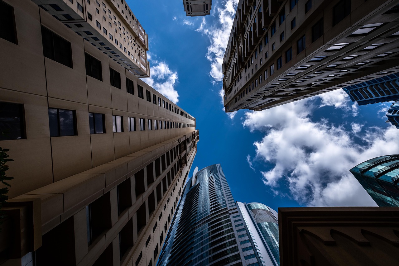 美国最新事件深度解析与探析