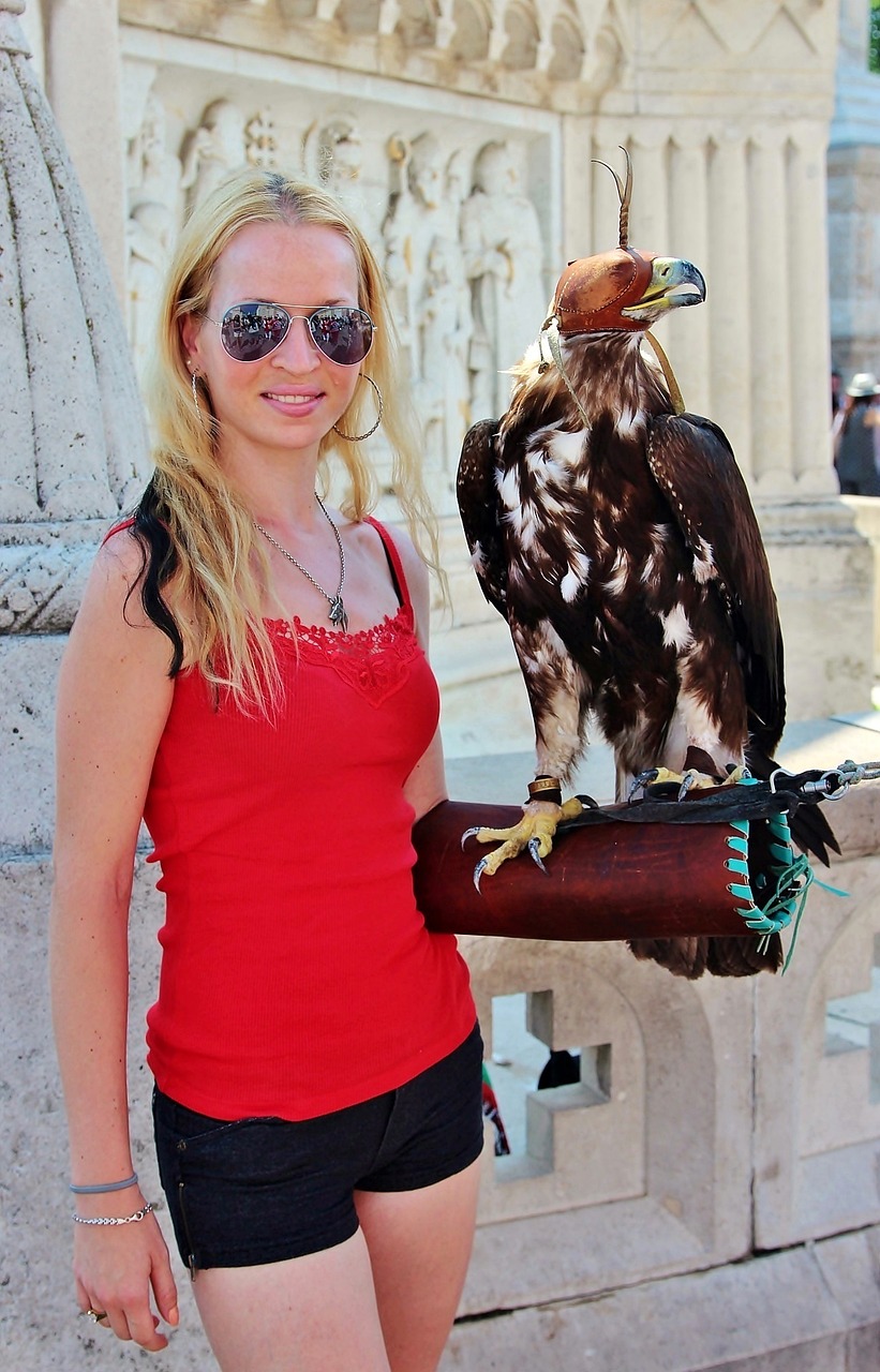 丽江疫情最新动态,挑战与应对策略