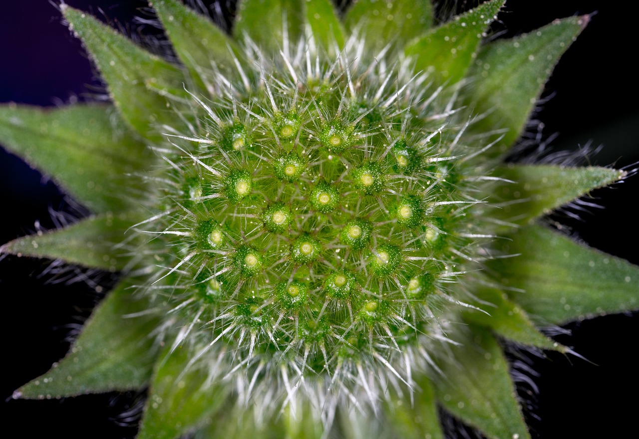 宝华里危改最新动态,城市更新迈入新篇章