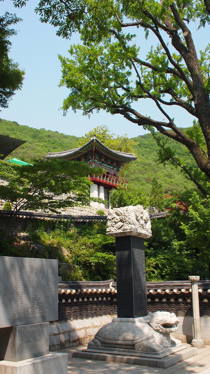 怡红院最新位置,历史与文化的交汇点探秘