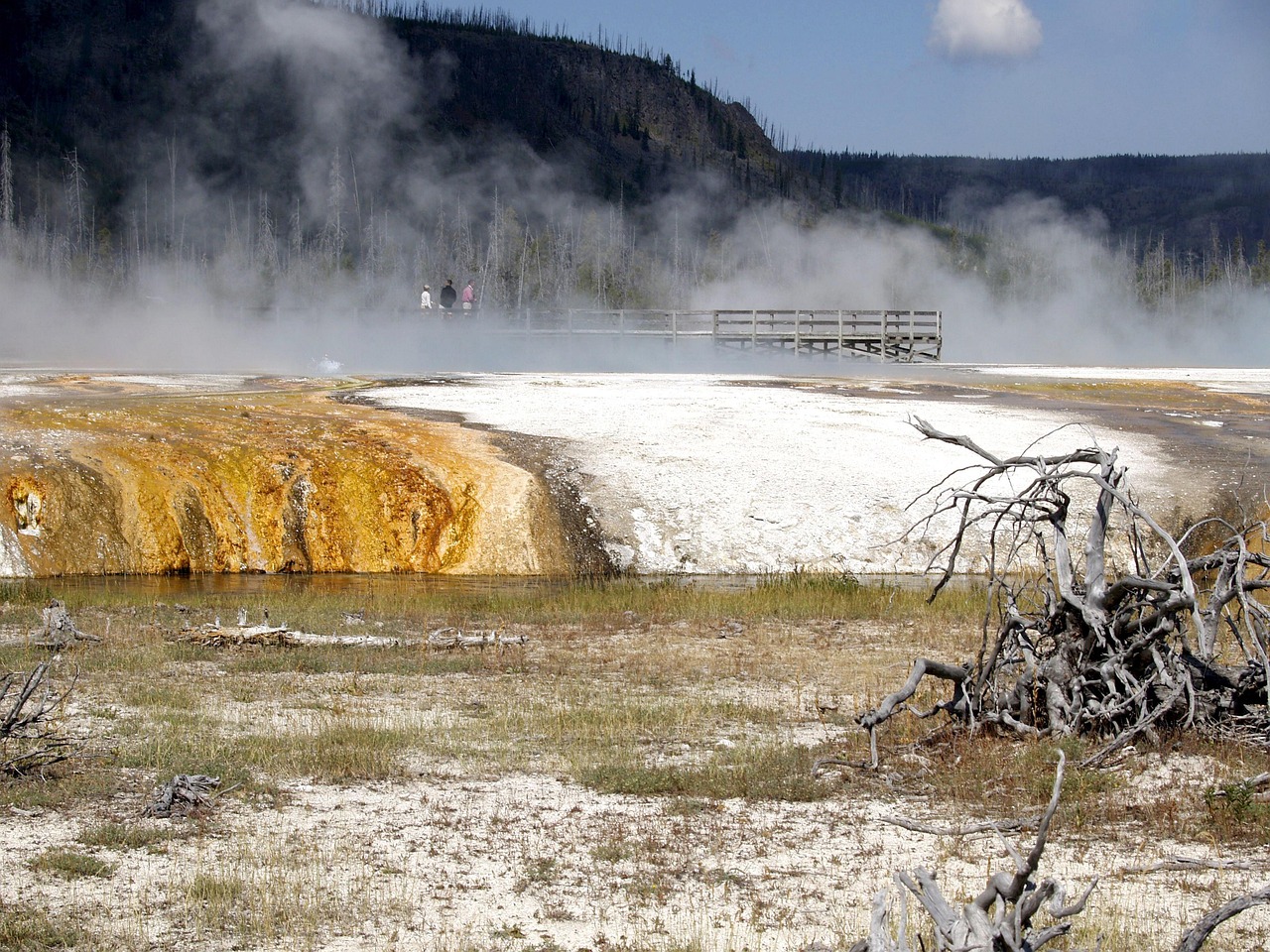 美国黄石国家公园最新动态揭秘