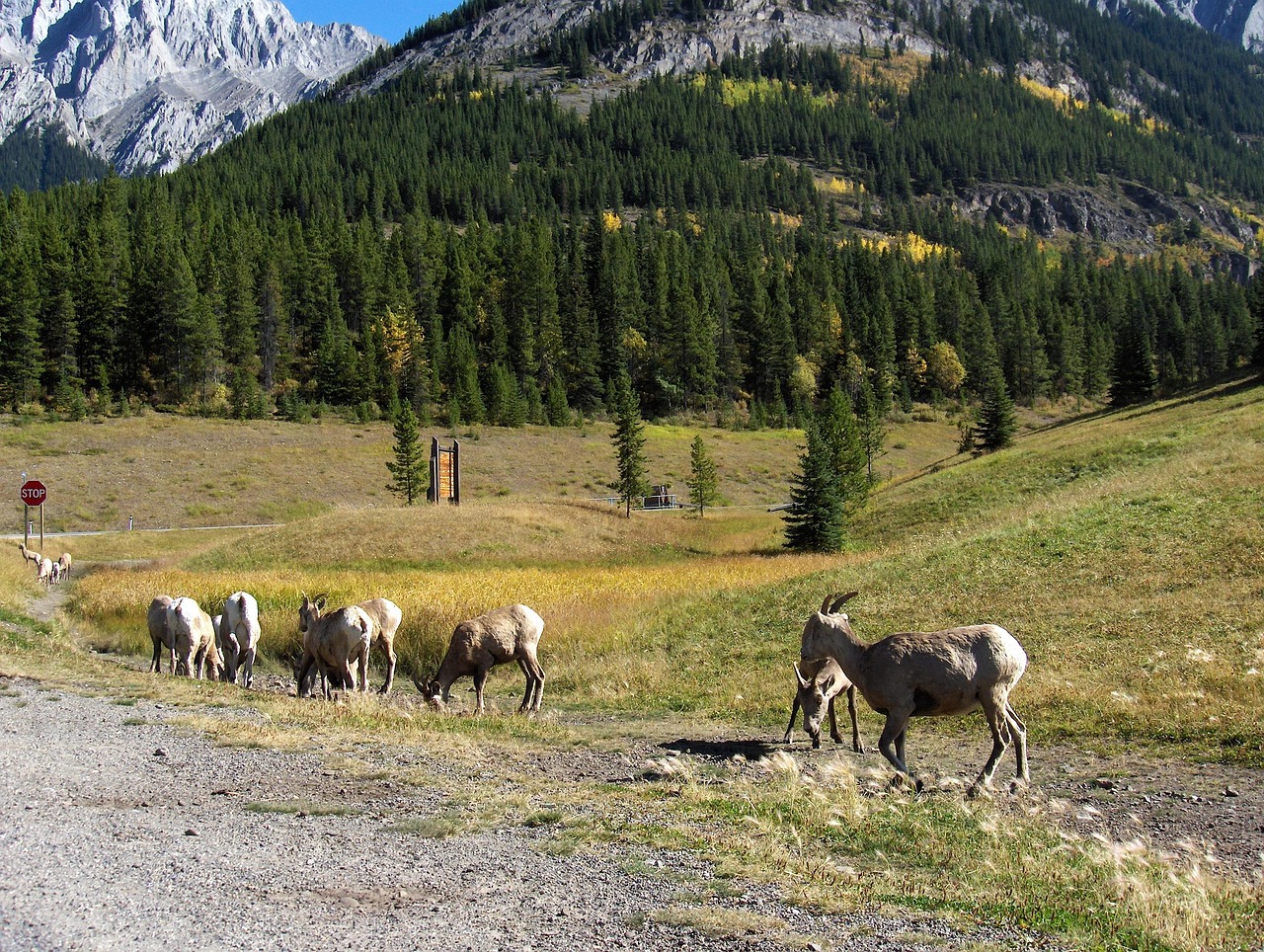 浙江医药最新动态,引领行业变革,塑造健康未来