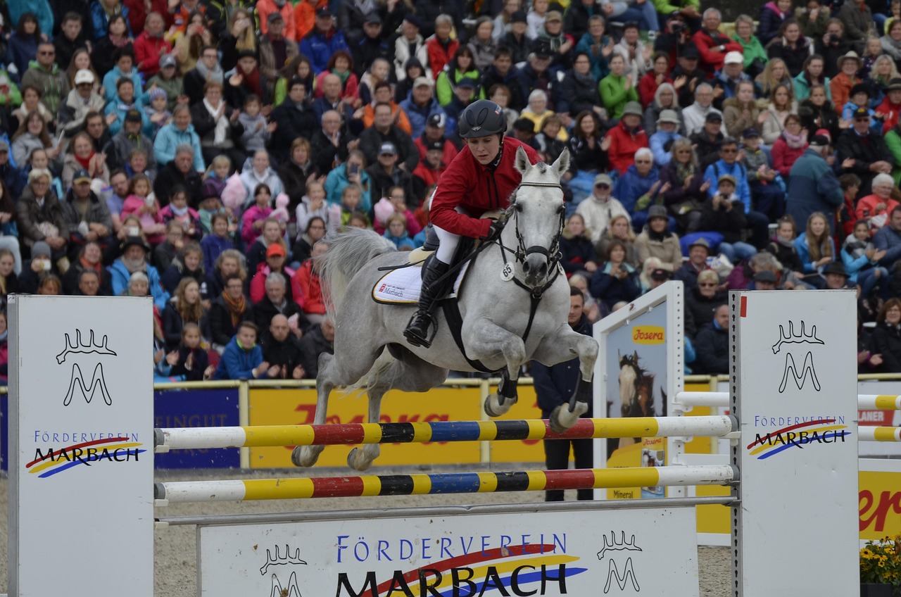 沥青行情软件,掌握市场动态的核心工具