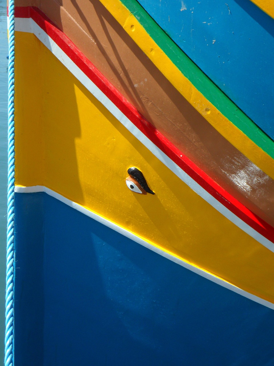 安沂华干细胞研究最新动态,前沿科技引领再生医学革新之路