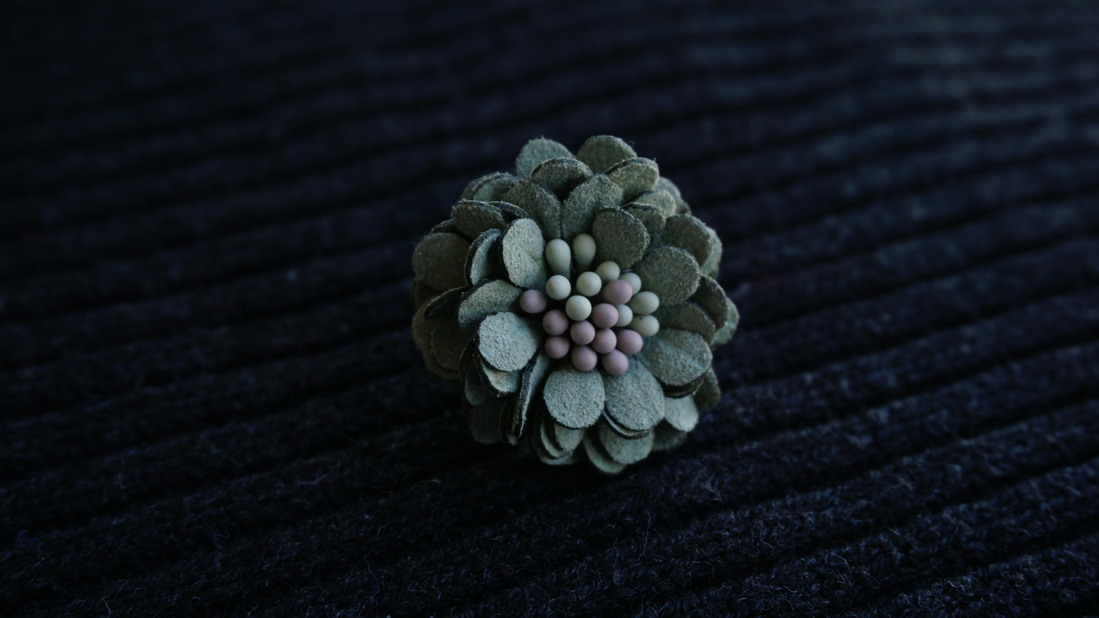 女款金耳钉新款上市,时尚潮流中的璀璨焦点