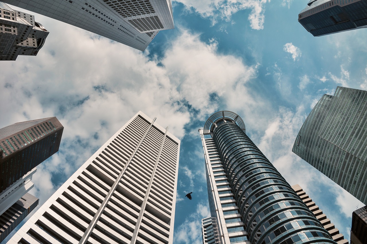 西安芹菜价格最新行情分析与趋势预测