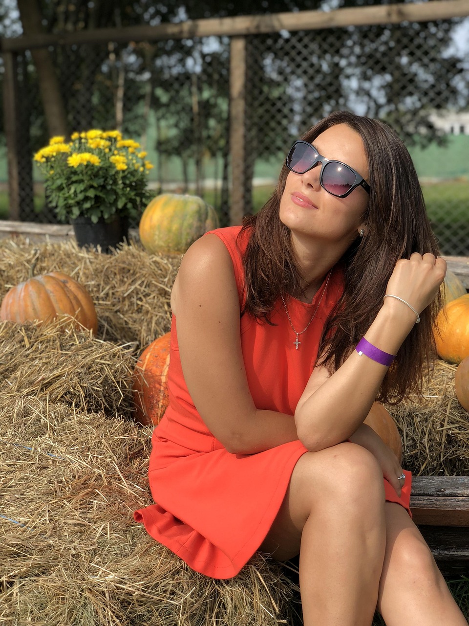 明星同款衣服App,引领时尚潮流,探索前沿魅力