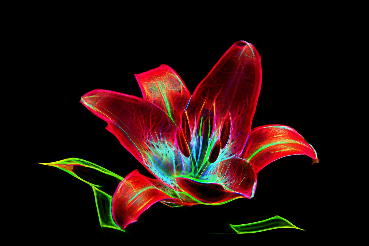 杨凌最新动态,科技创新驱动现代农业蓬勃发展