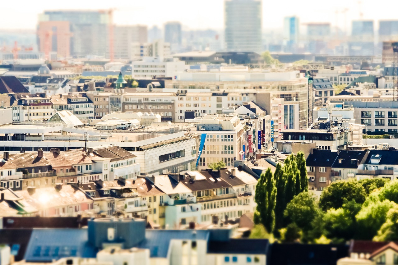 进贤橡园小区最新动态速递