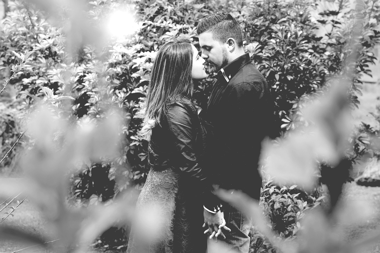 权少追妻,爱情的角逐与追逐连载中