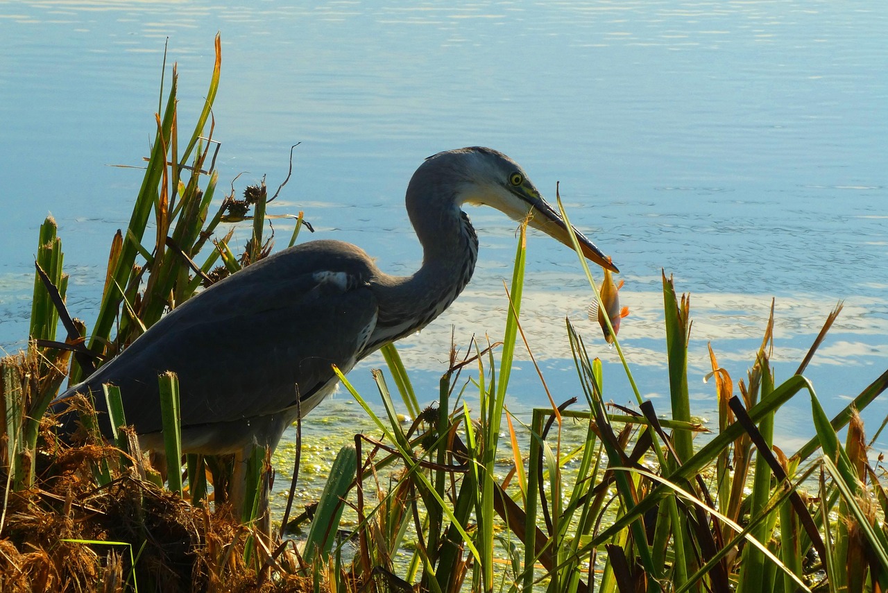 贵阳二套房首付比例最新动态,调整细节及其影响分析