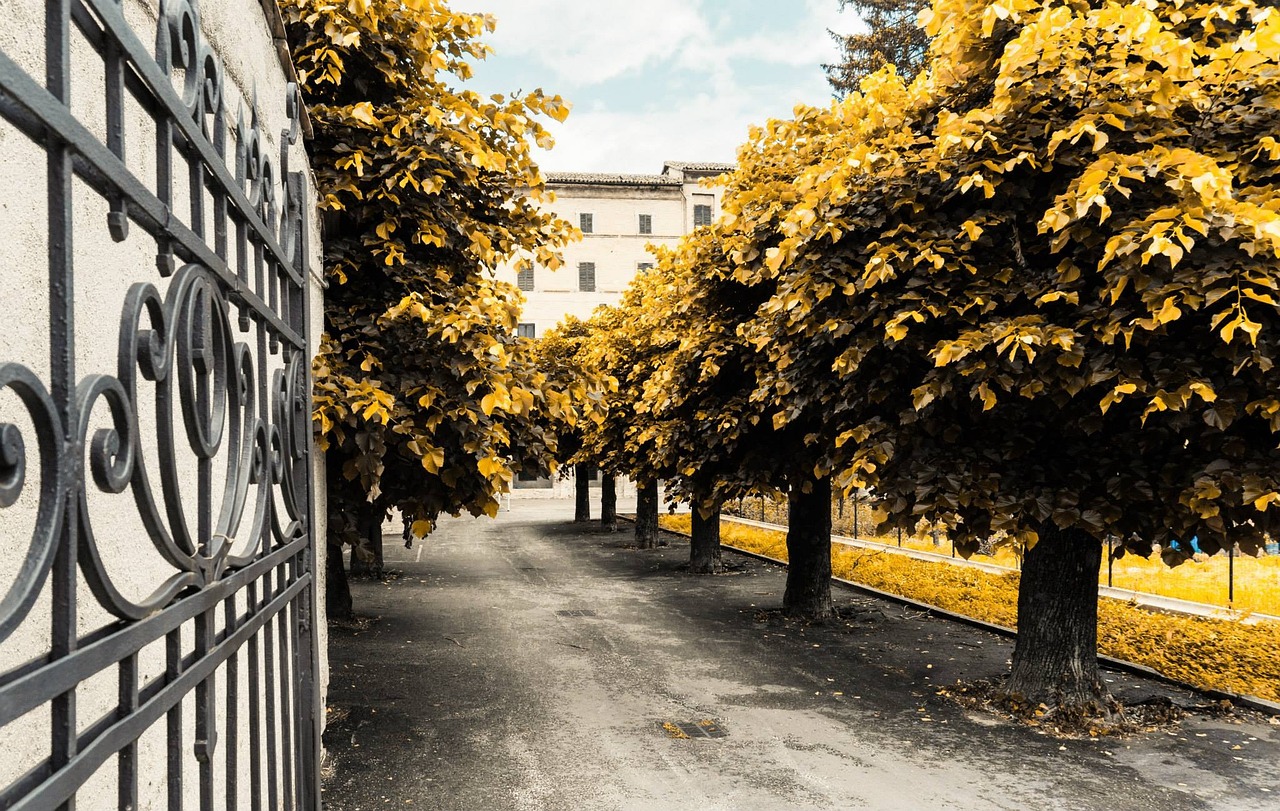 合轻家园最新动态,打造现代化宜居社区的新标杆