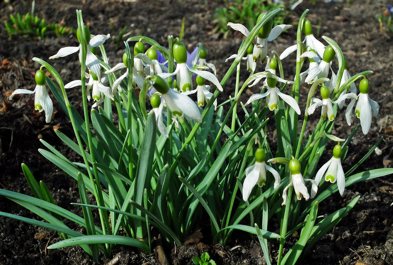 部队补发工资最新动态,政策调整与福利待遇的显著改善