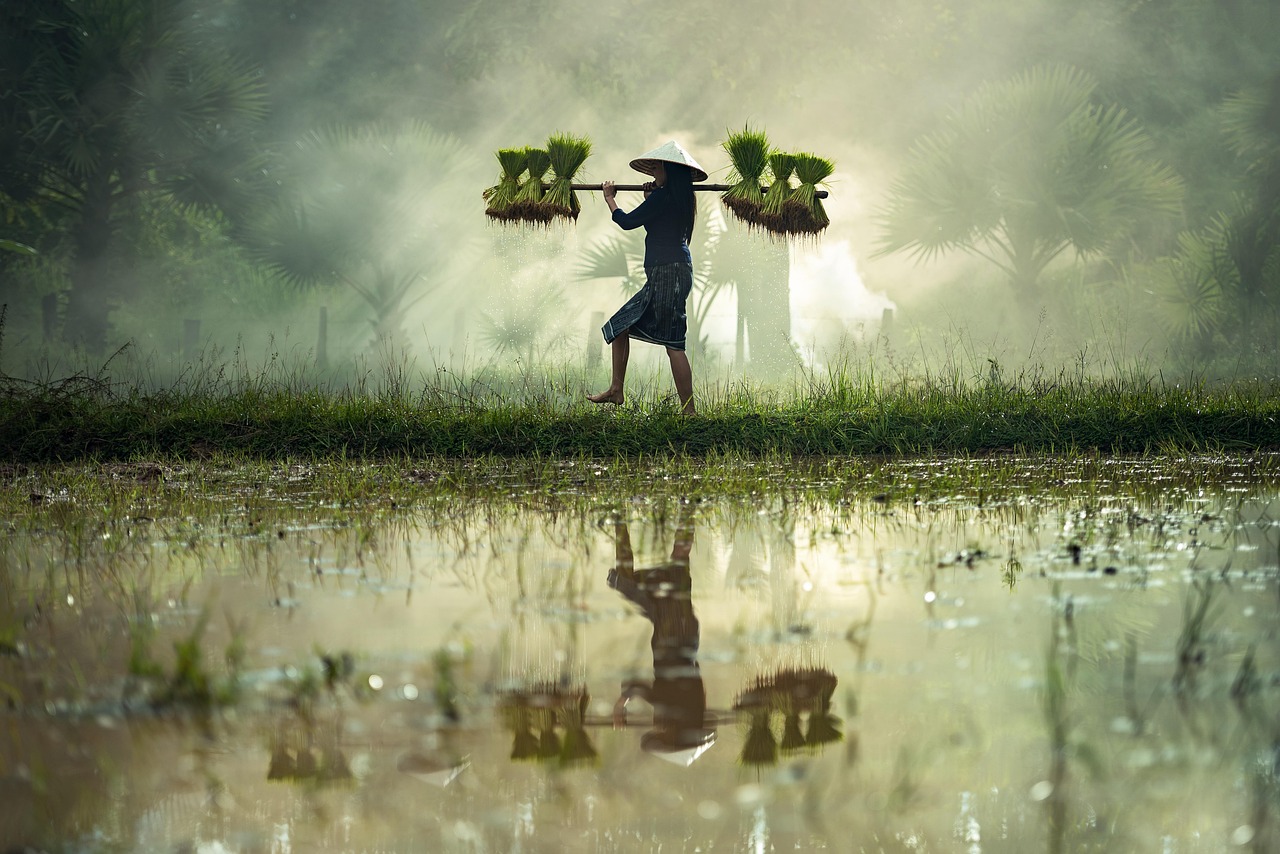 北京武术比赛,传统武艺的璀璨盛宴