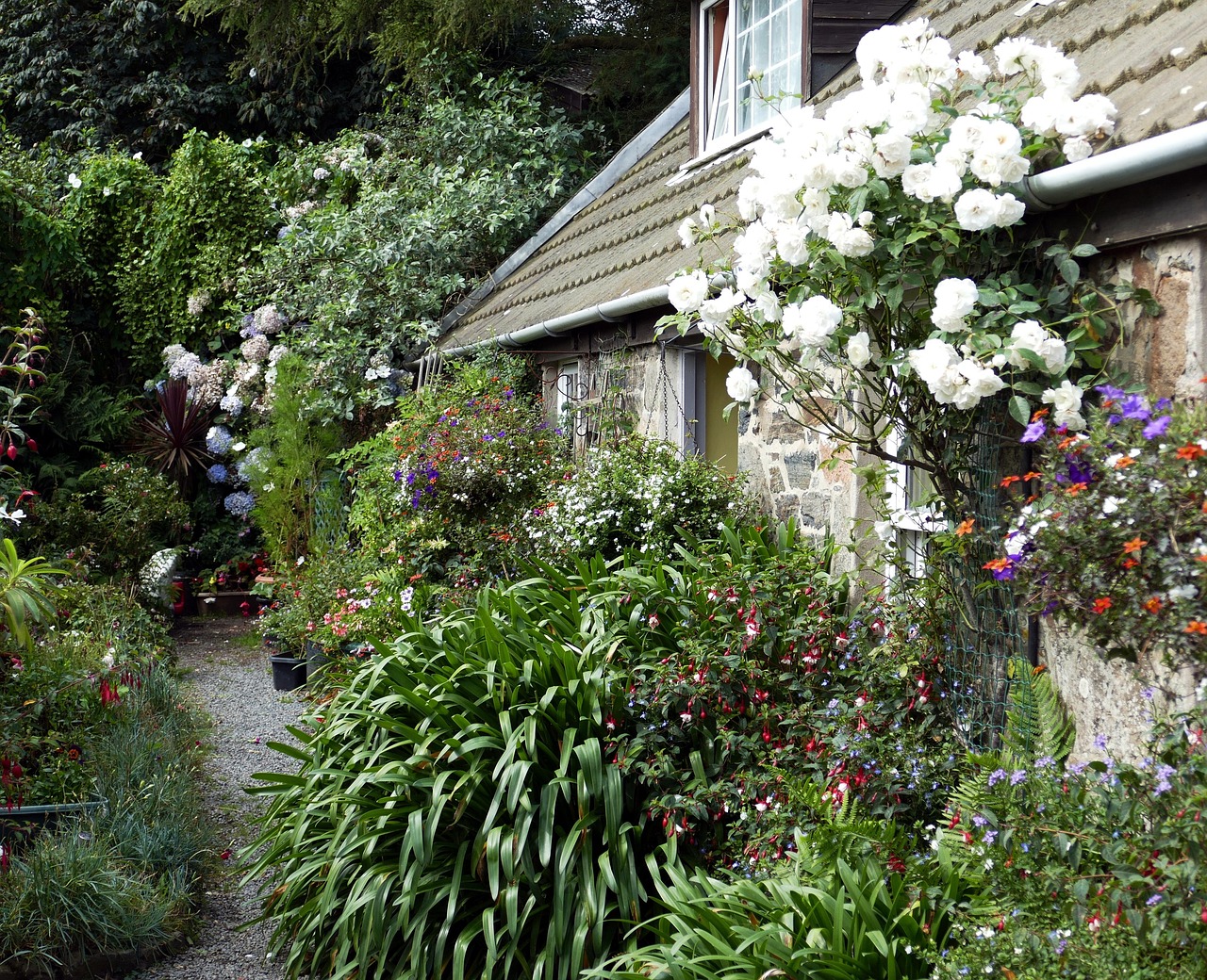 沈丘皇家花园最新动态更新