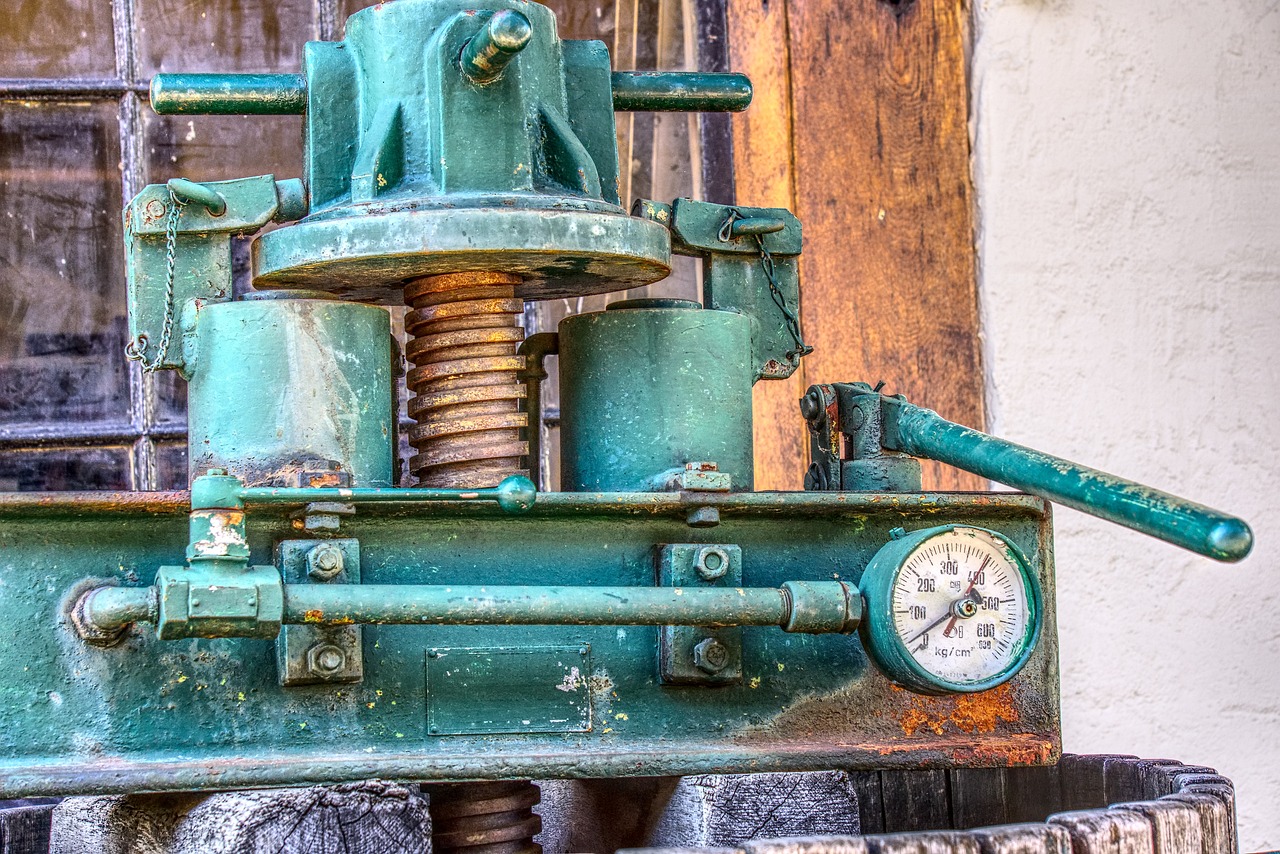 宁阳新闻最新动态概览