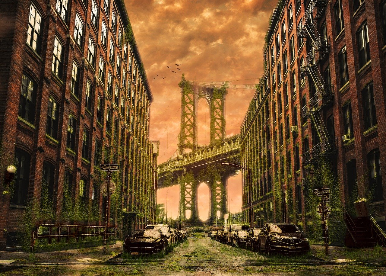 探索日本电影艺术的魅力之旅,从A到A+的日本电影之旅