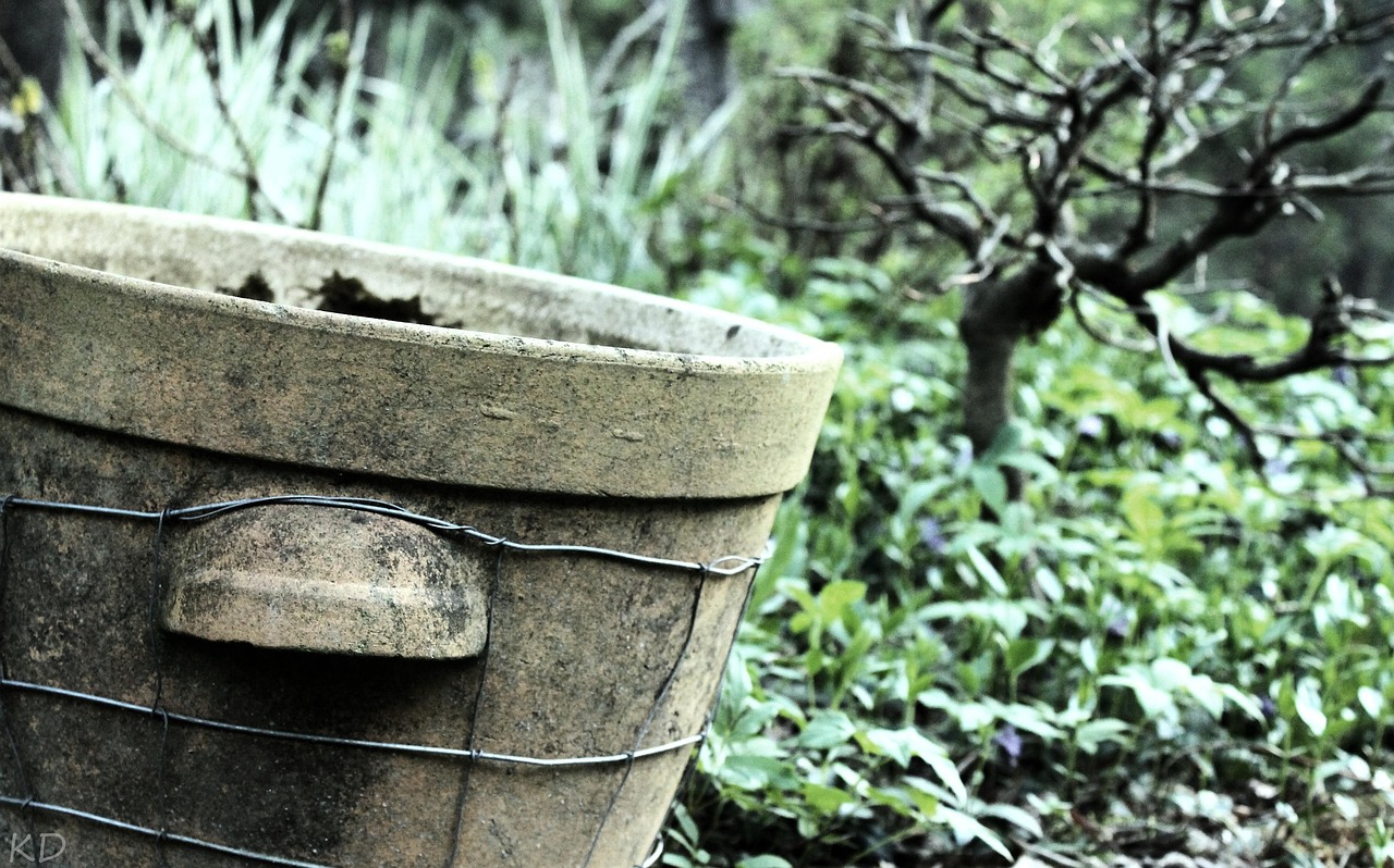 云南能投股票动态及市场走势深度解析,投资热点揭秘。