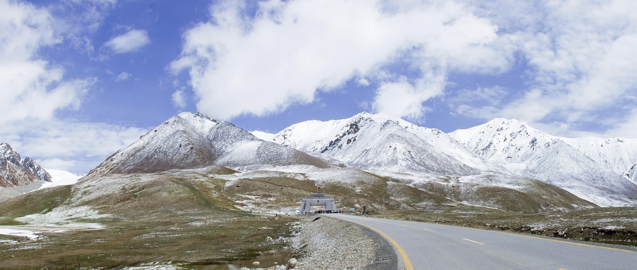 中华伍氏网最新资讯概览,掌握最新动态与资讯传递