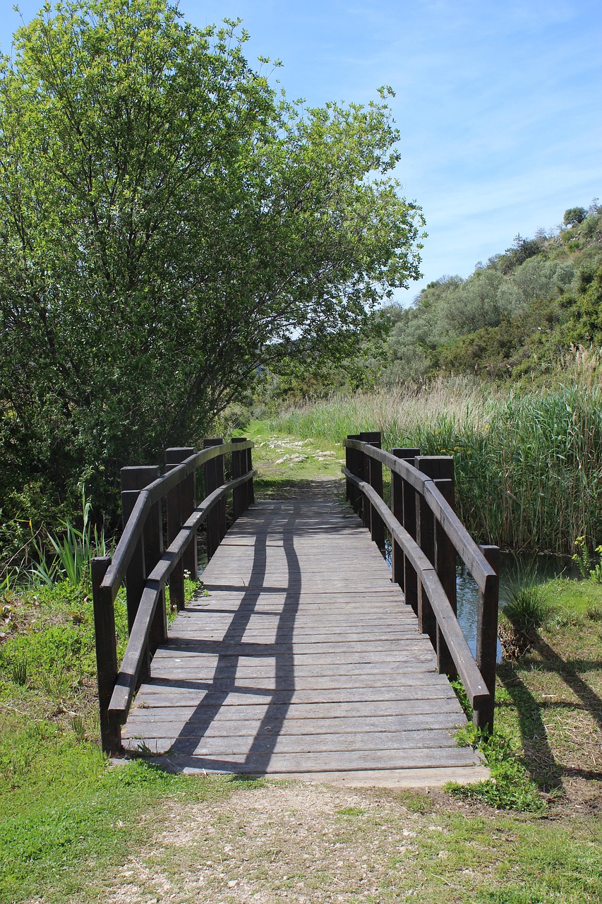 仙桃江滩公园最新动态,绿色生态与人文景观的和谐融合