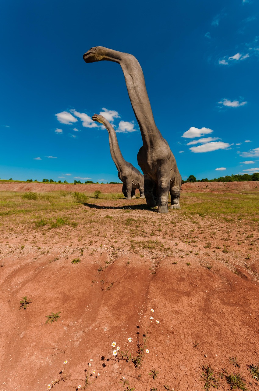 焦作城东公园焕发新活力,展现新风貌的最新动态