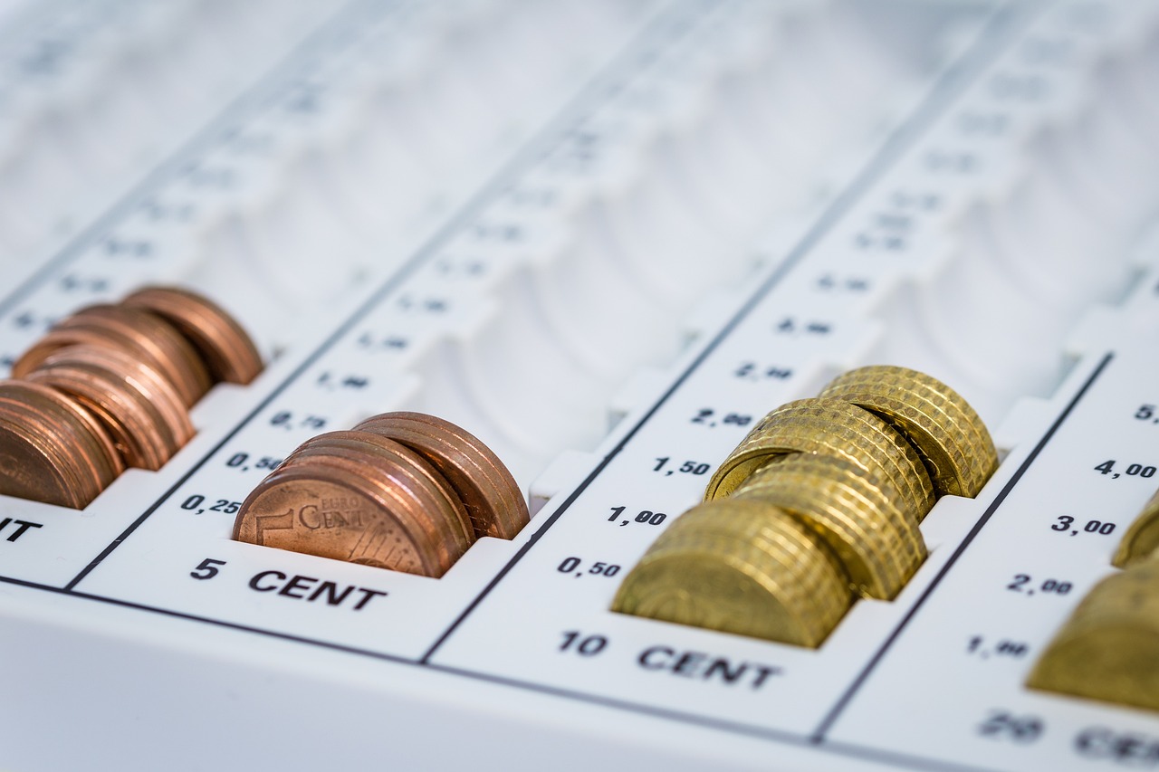 最新分类动态,多元视角引领时代变革