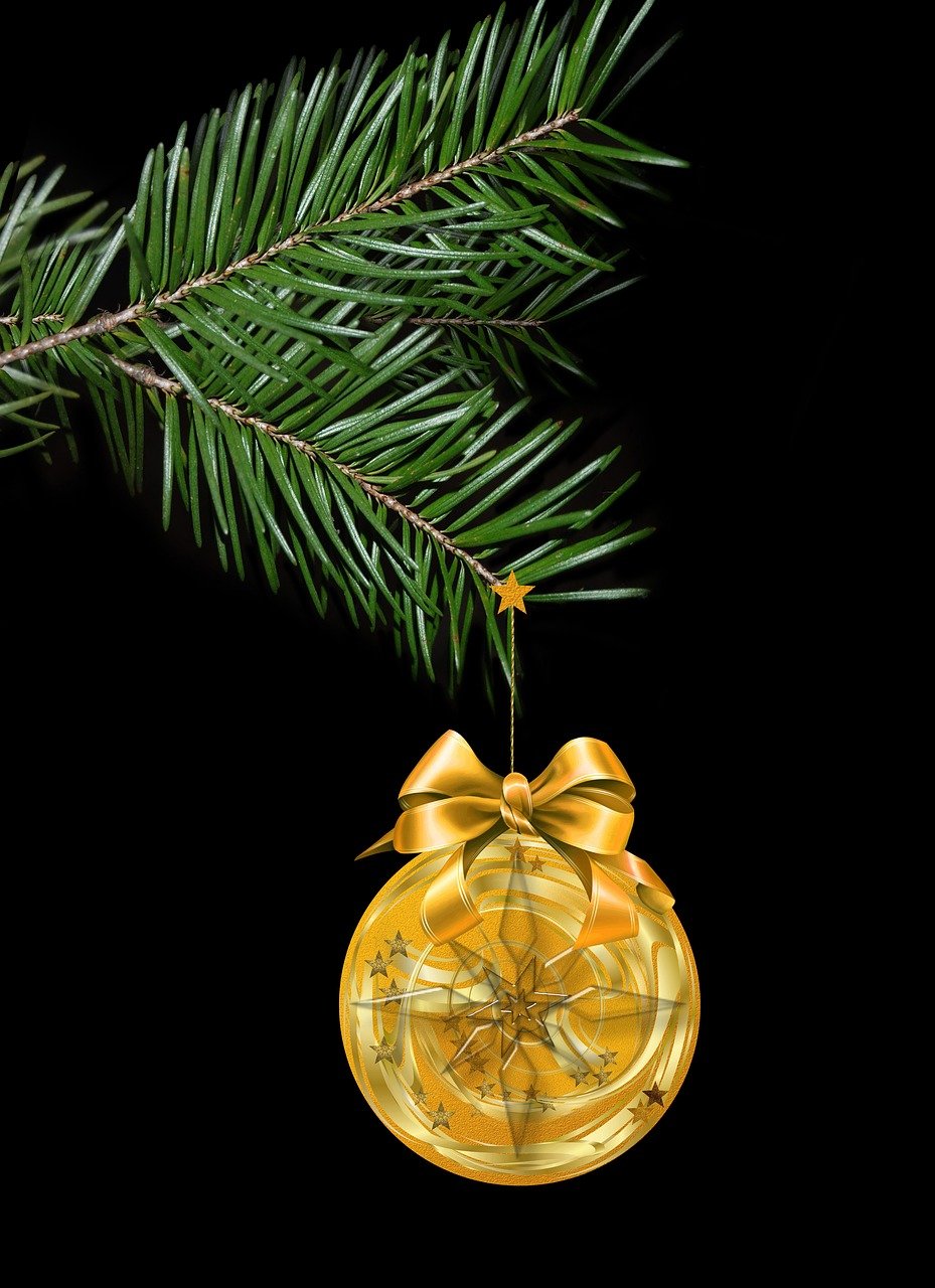 宁乡金唐最新动态,揭开地区发展新篇章