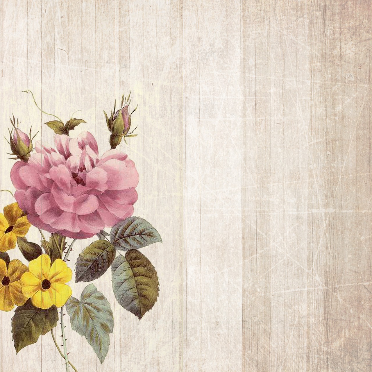 鹿晗多面发展,音乐、影视与公益的最新动态