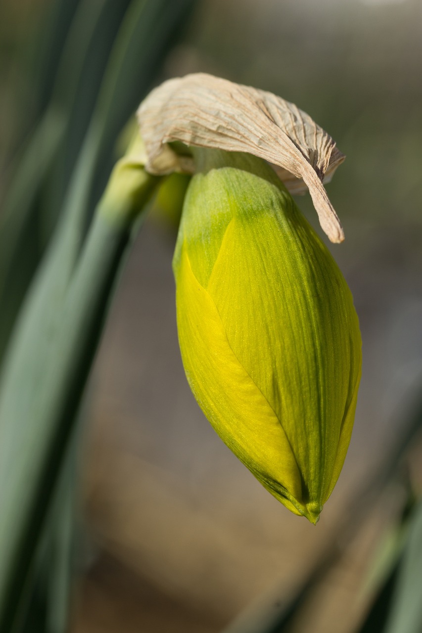 杜特尔特最新动态，菲律宾政治风云变幻莫测
