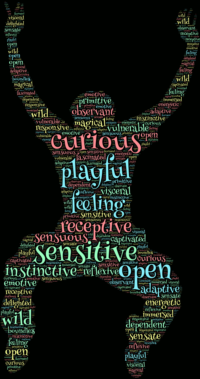 跨越语言的电影文化盛宴，看电影的单词探索