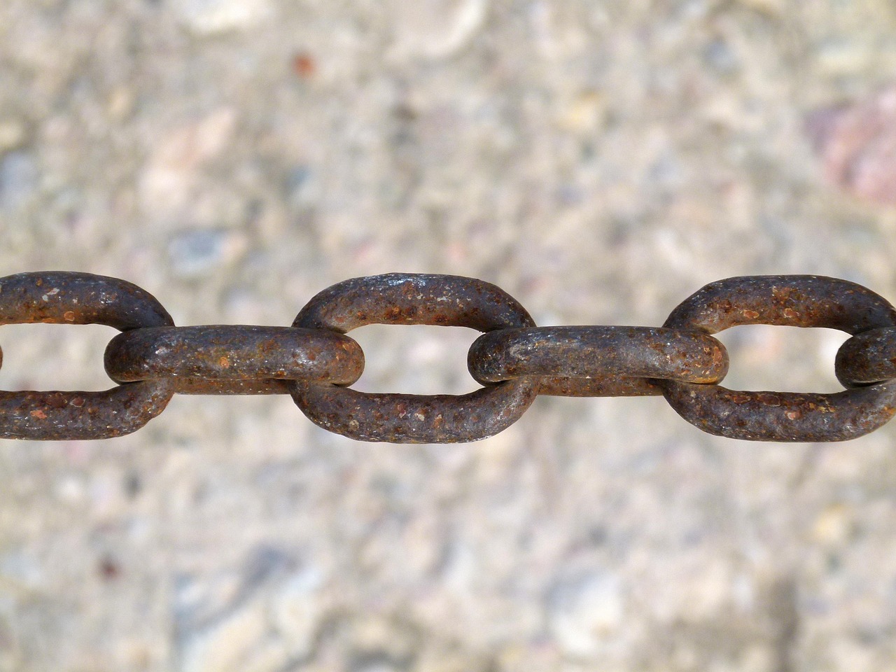 最新毛鸡价格动态及分析报告