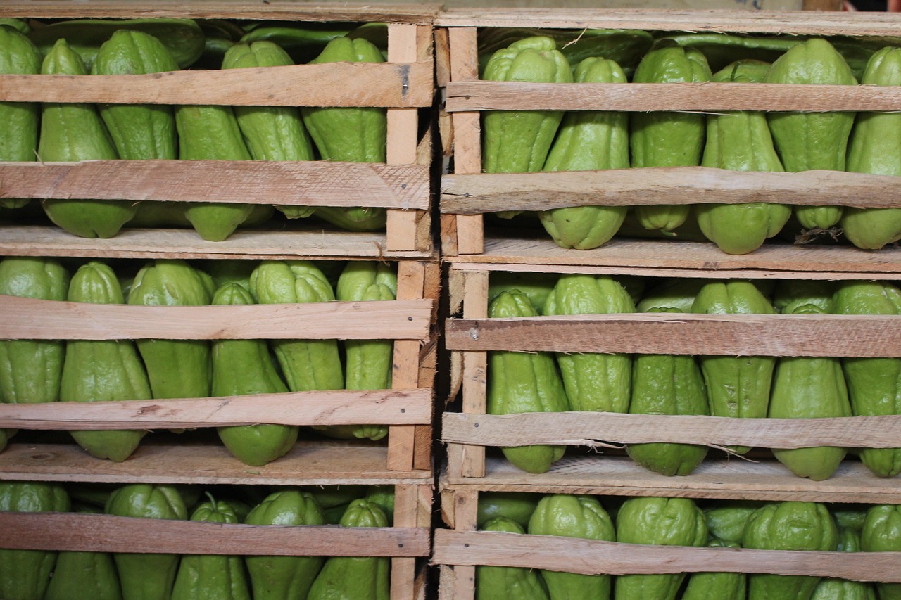 百色新鲜资讯,探索城市新动态与发展亮点