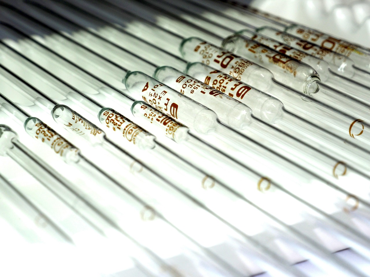 遗忘的小时光 第12页