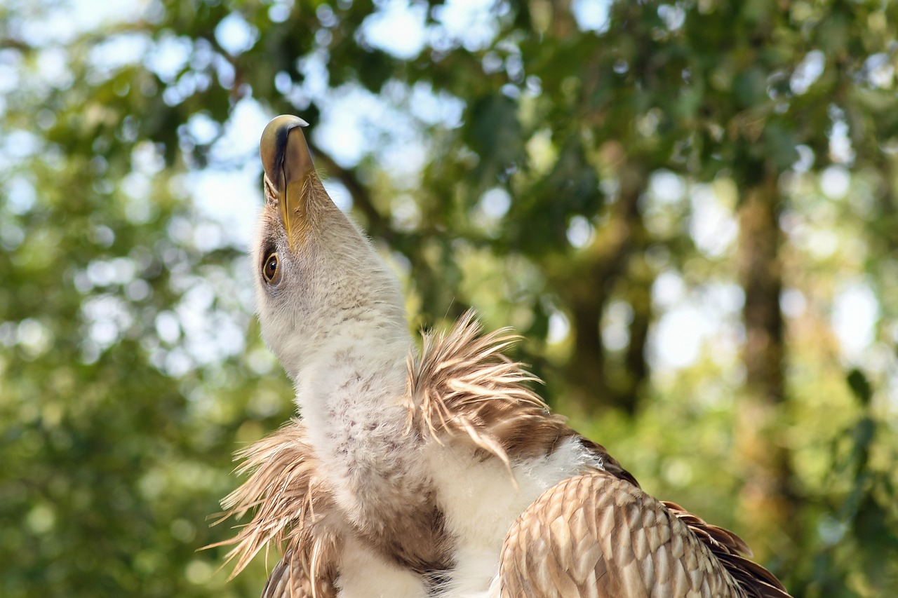 最新牲畜定位器,应用与前景展望