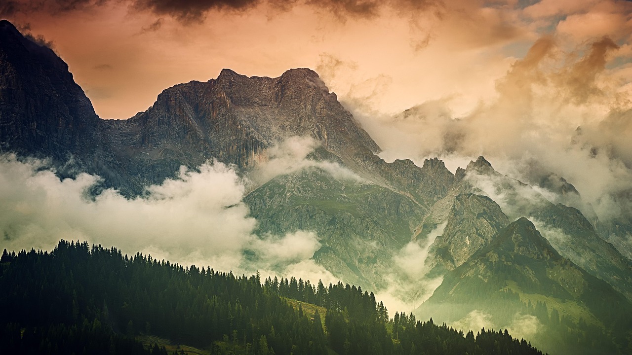 武汉最新疫情动态,全面应对,共克时艰时刻