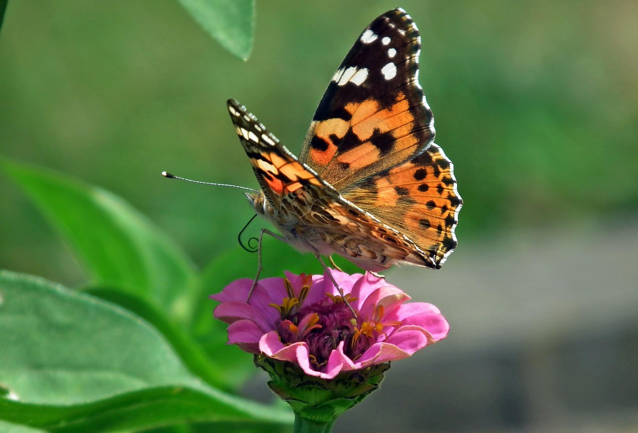 天津生态城绿色发展步伐加速前行,最新动态揭秘