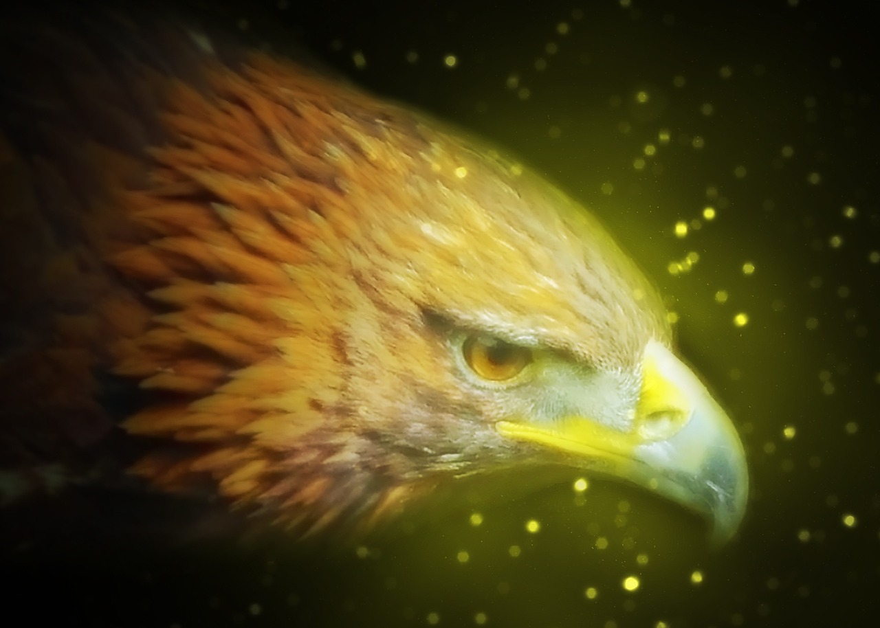 虎豹龙蛇鹰演员阵容及角色深度解读